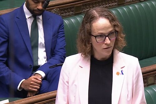 Alison speaking in the hospices debate