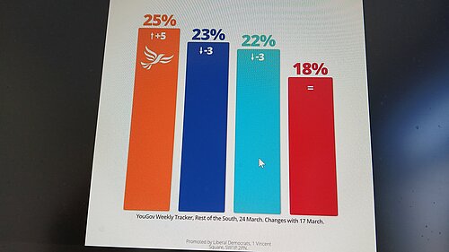 Lib Dems take lead in poll