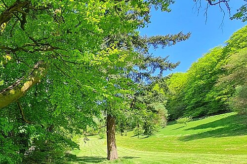 Scotland Park Development