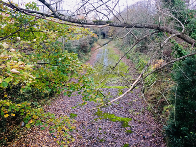 Bristol's Brislington Railway / Greenway