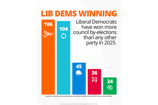 A bar chart showing that the Liberal Democrats have won more council by-elections than any other party in 2025.